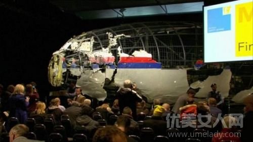 MH17ϵɽë鷻 ɽëʲô