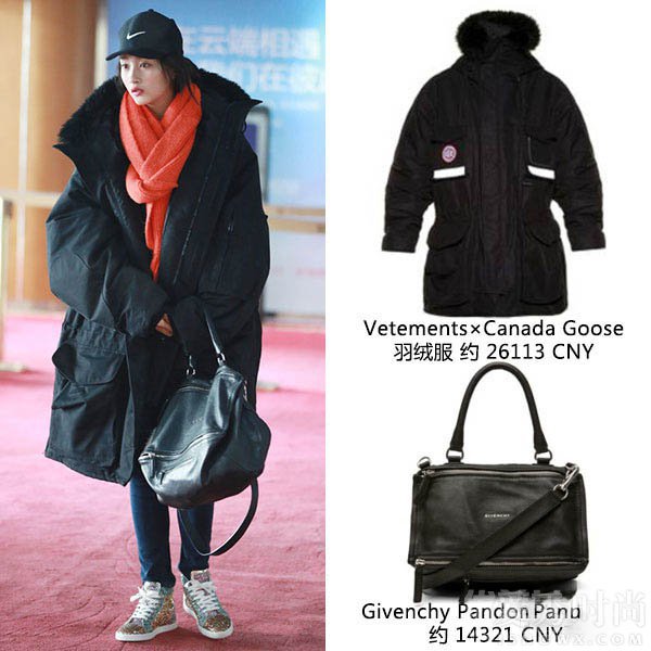 VetementsCanada Goose