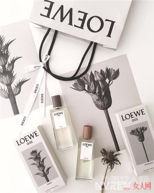 Loewe _Ϸ쵽û ЩƷĴ͵